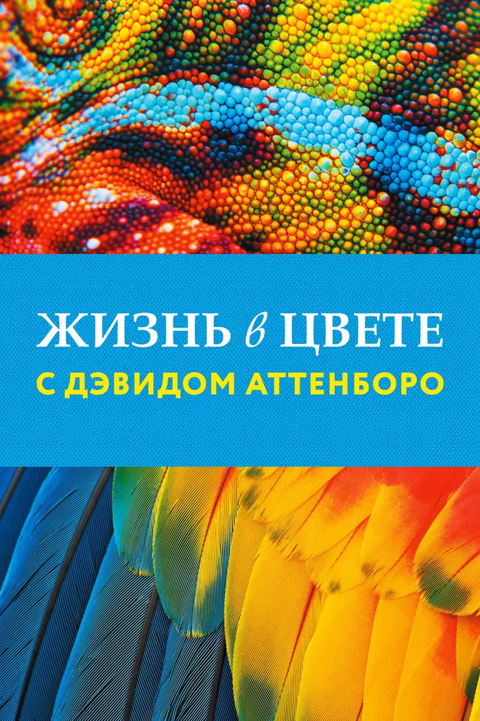 Жизнь в цвете с Дэвидом Аттенборо (2021)