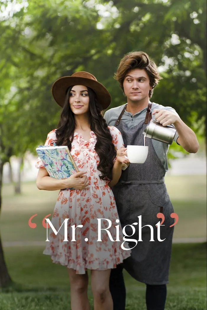 Mr. Right (2023) poster