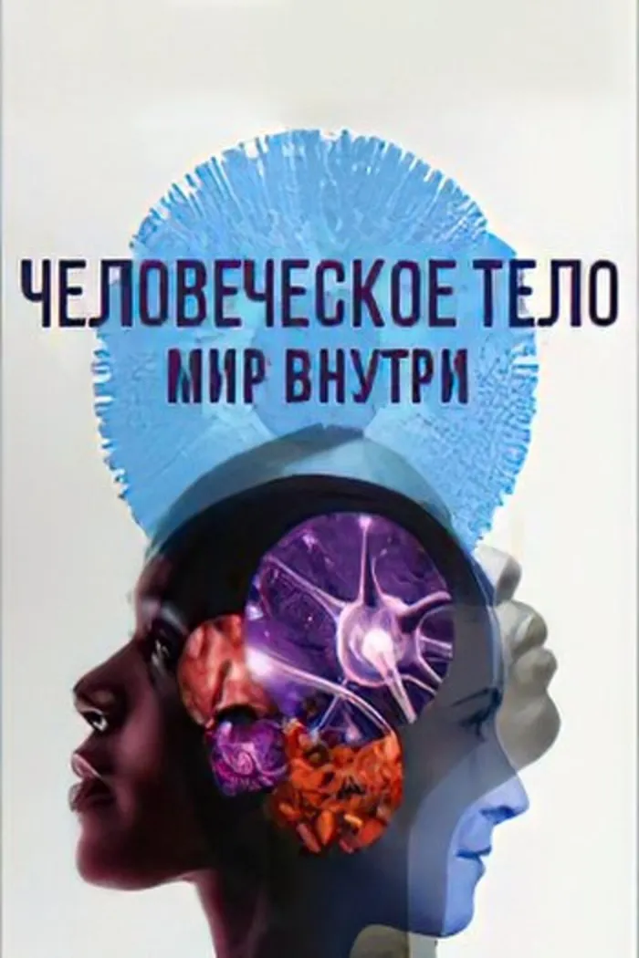 Человеческое тело: мир внутри (2021) poster
