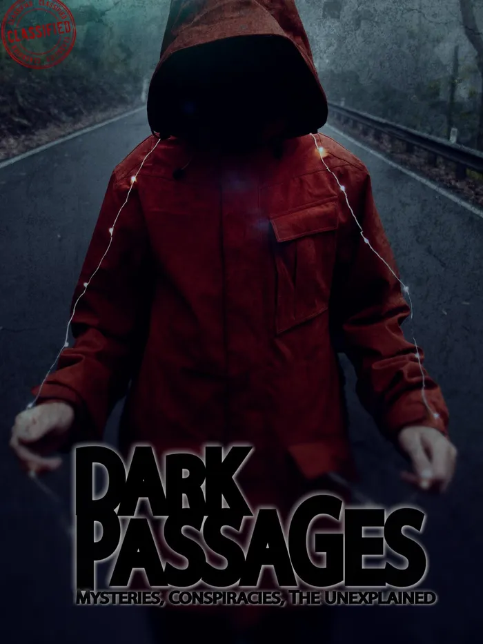 Dark Passages (2021) poster