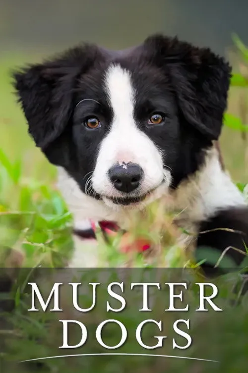 Muster Dogs (2022)