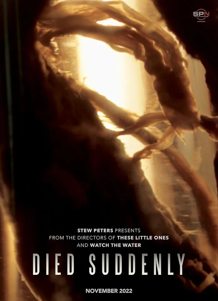 Died Suddenly (2022) poster