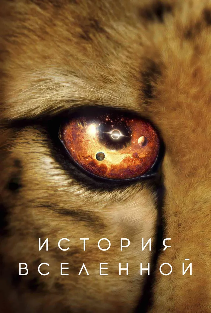 История Вселенной (2022) poster