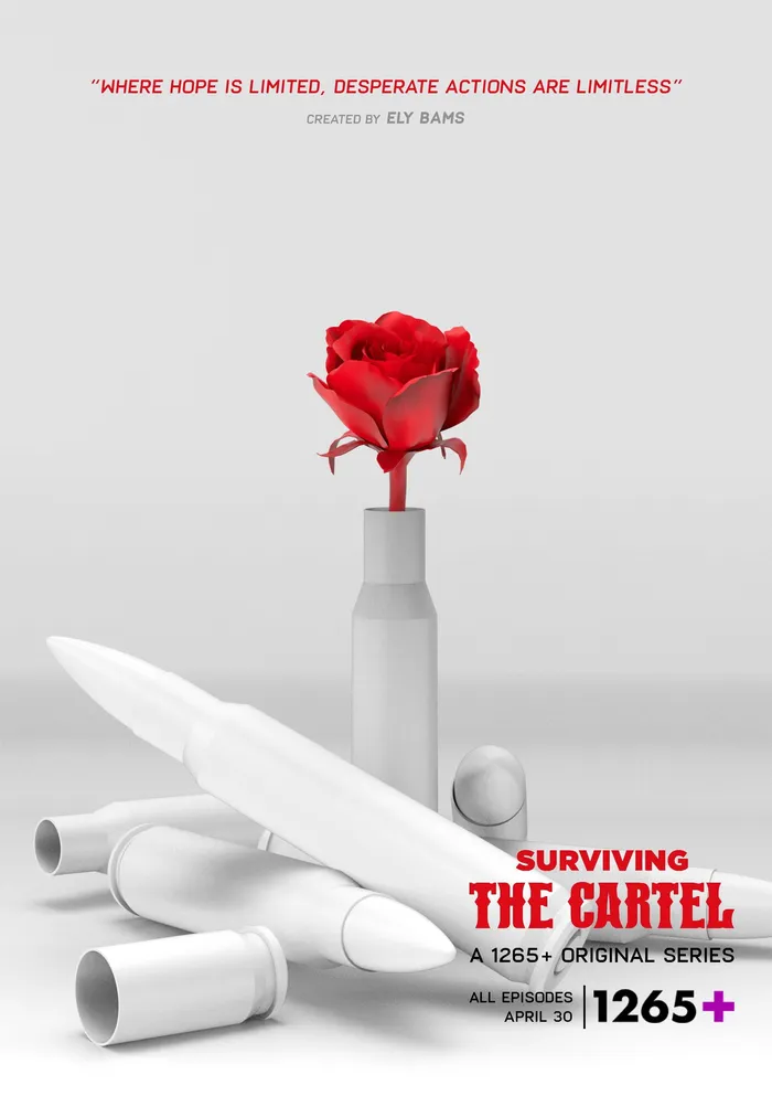 Sobreviviendo al cártel (2022) poster