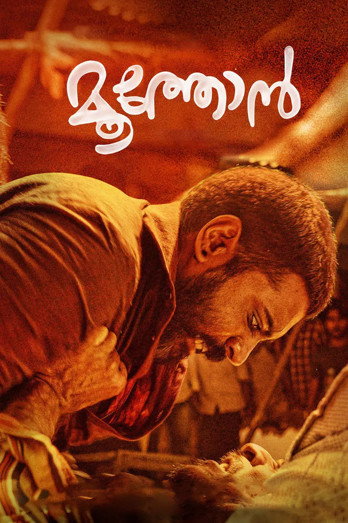 Старший брат (2019) poster