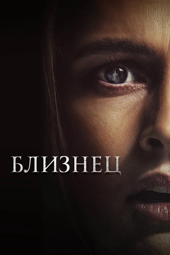 Близнец (2022) poster