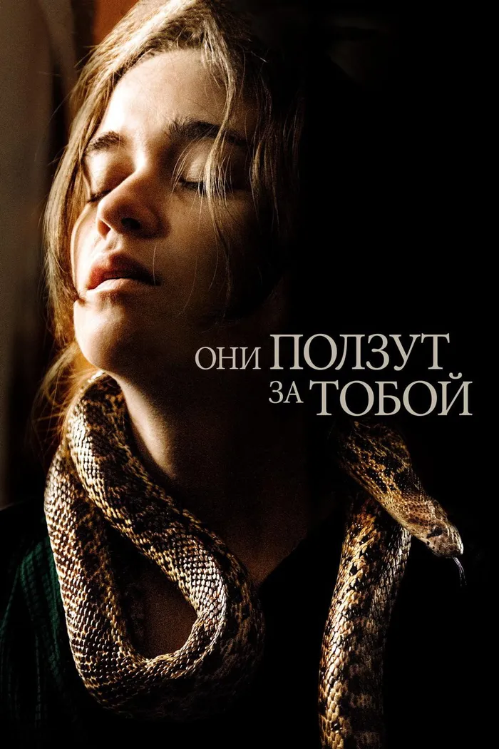 Они ползут за тобой (2019) poster