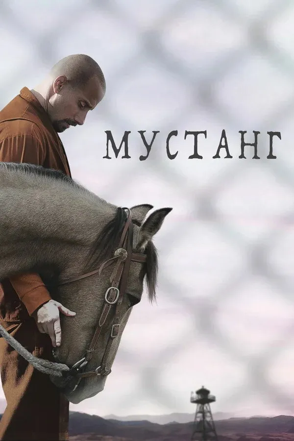 Мустанг (2019) poster