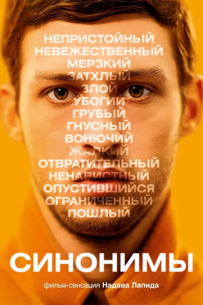 Синонимы (2019) poster