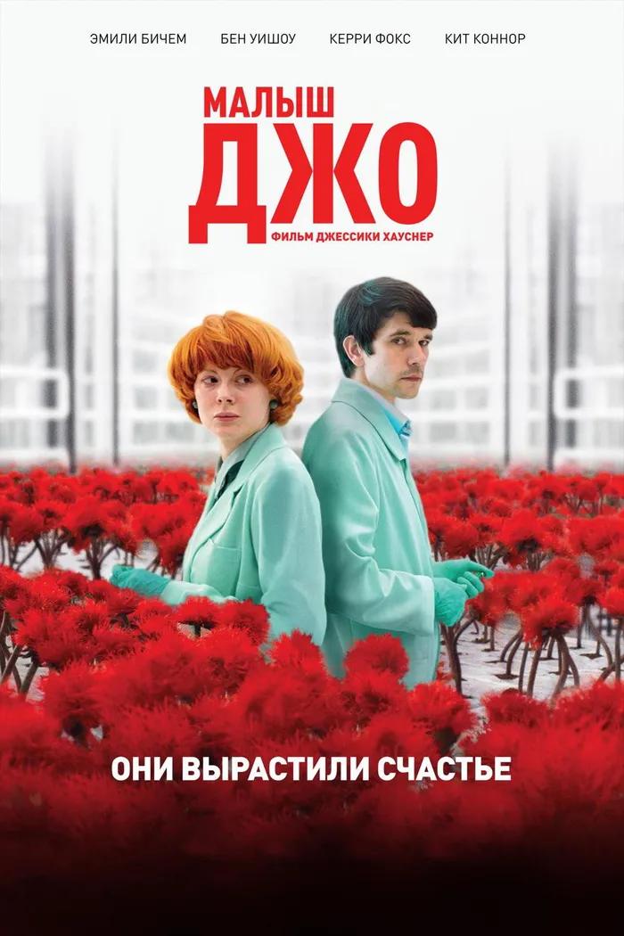 Малыш Джо (2019) poster