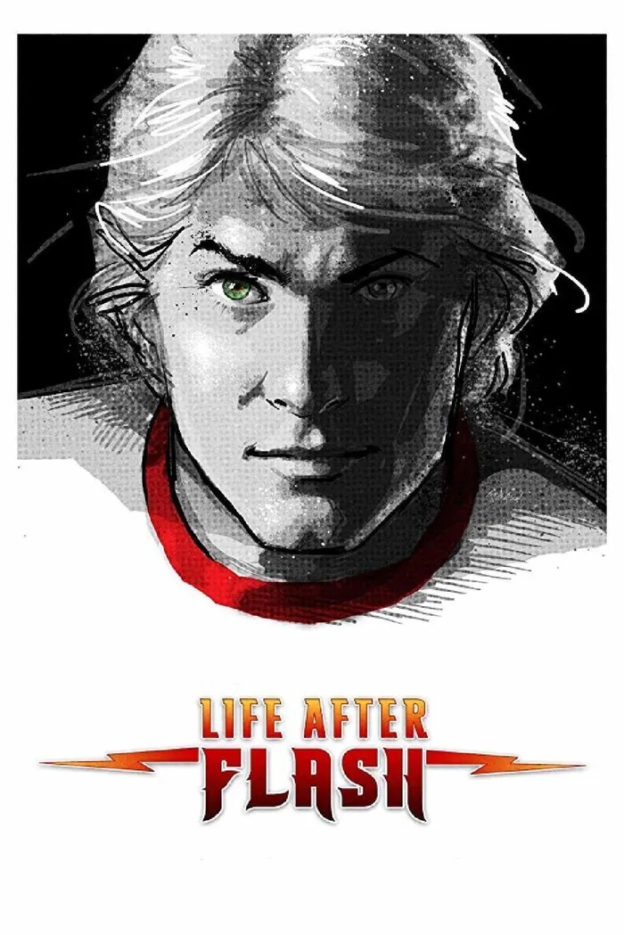 Life After Flash (2019) poster