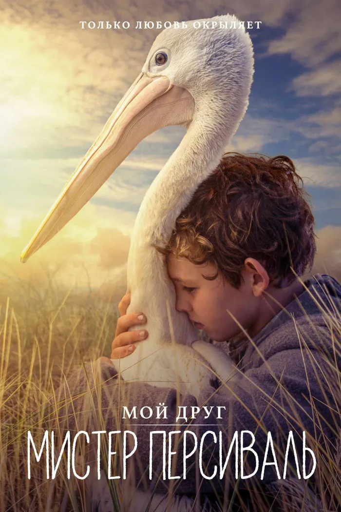 Мой друг мистер Персиваль (2019) poster