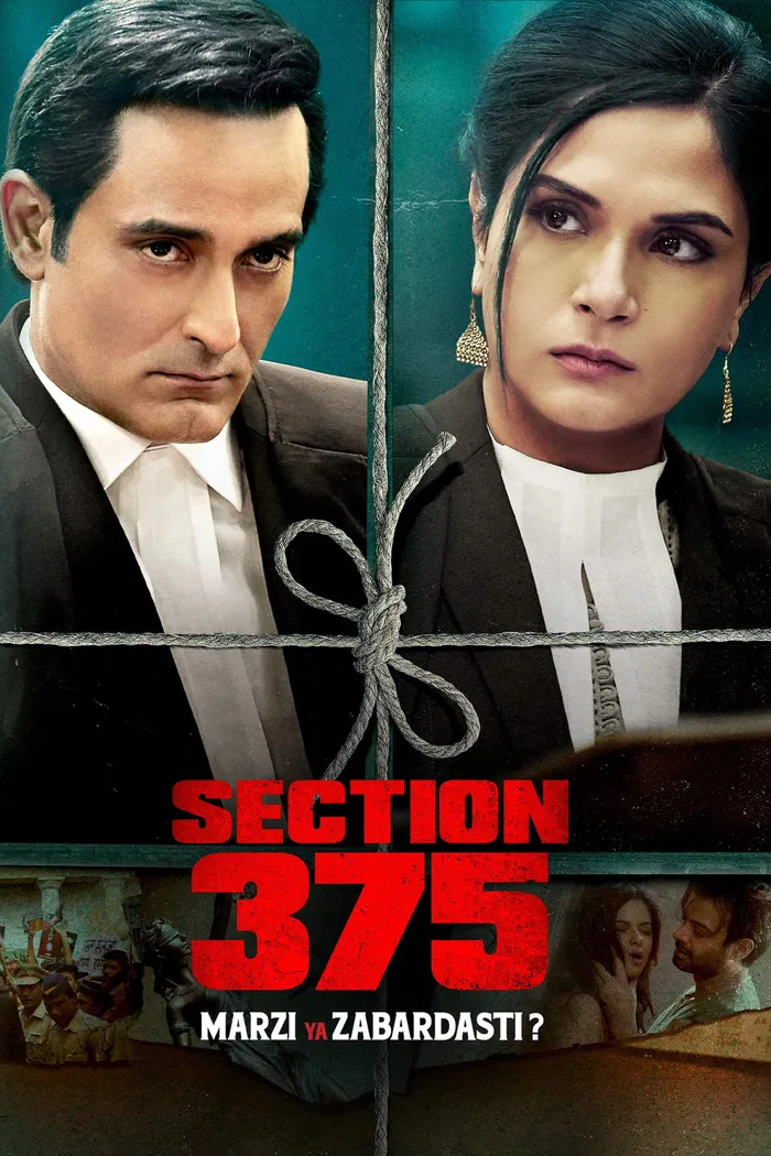 Section 375 (2019) poster