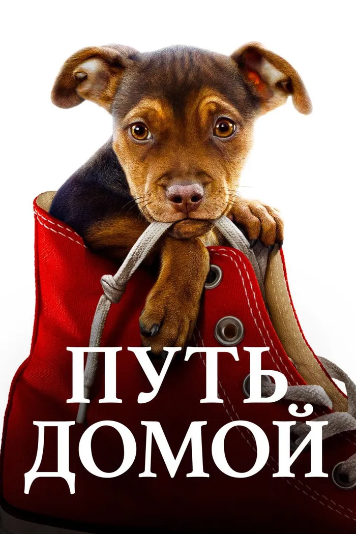 Путь домой (2019) poster