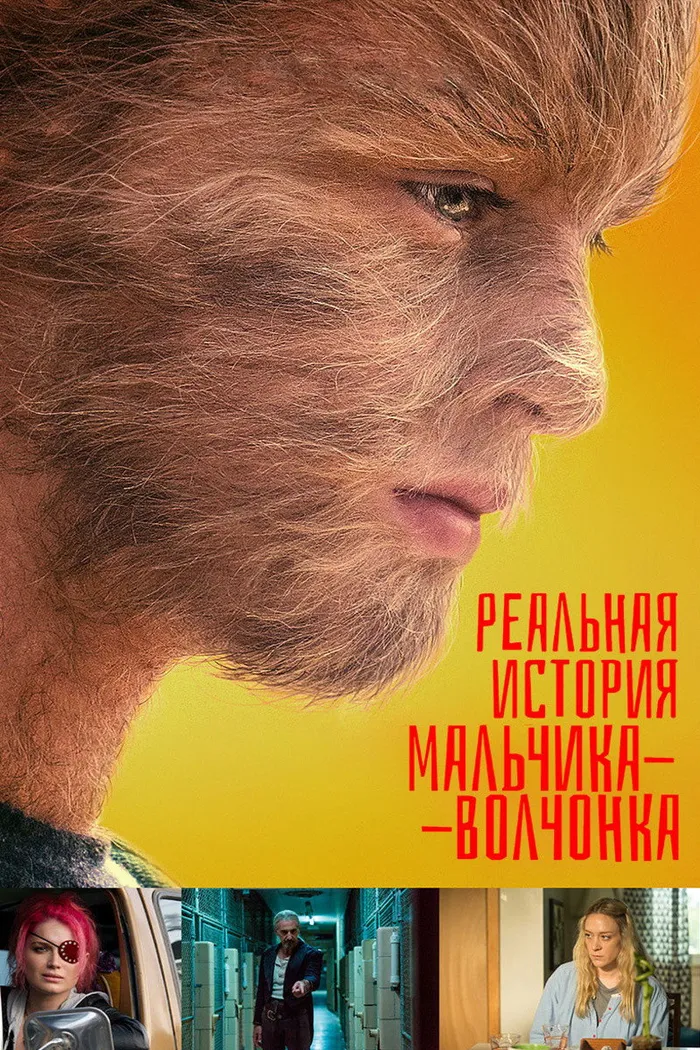 Реальная история мальчика-волчонка (2019) poster