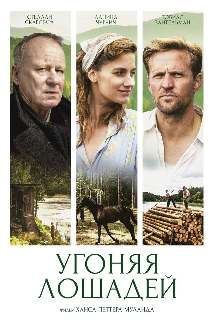 Угоняя лошадей (2019) poster