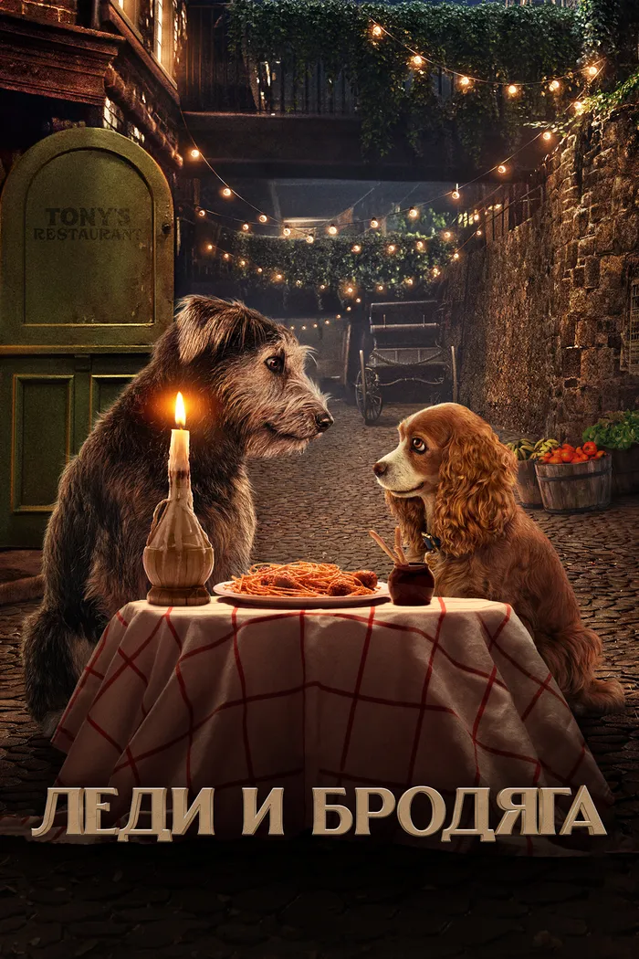 Леди и Бродяга (2019) poster