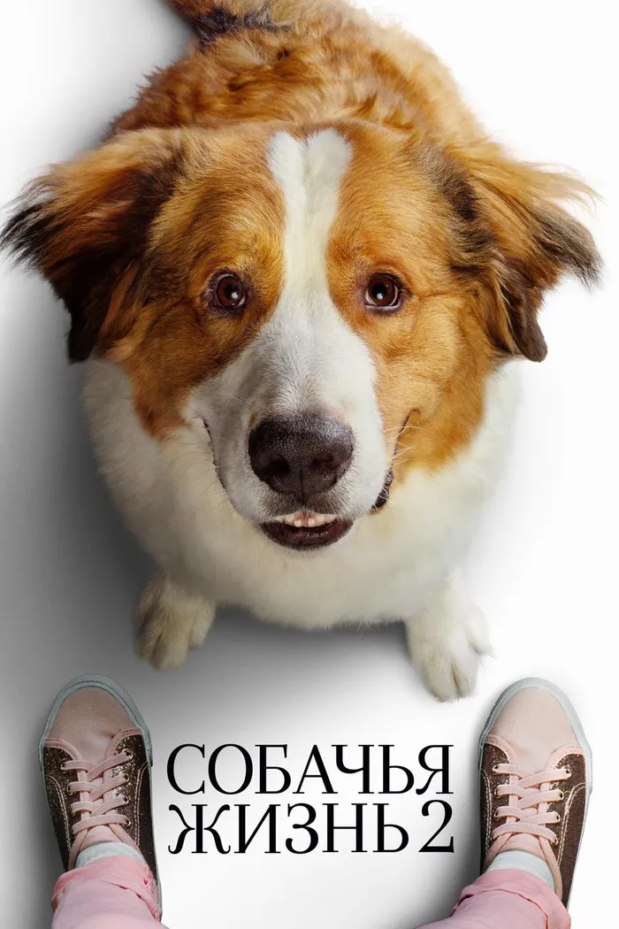 Собачья жизнь 2 (2019) poster