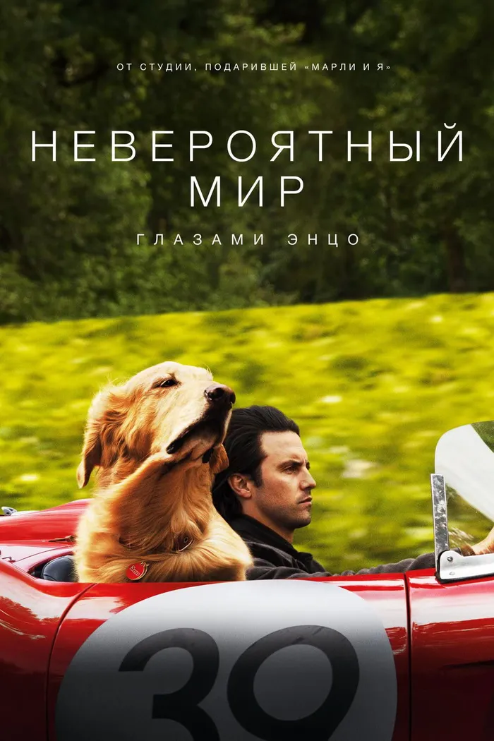 Невероятный мир глазами Энцо (2019) poster