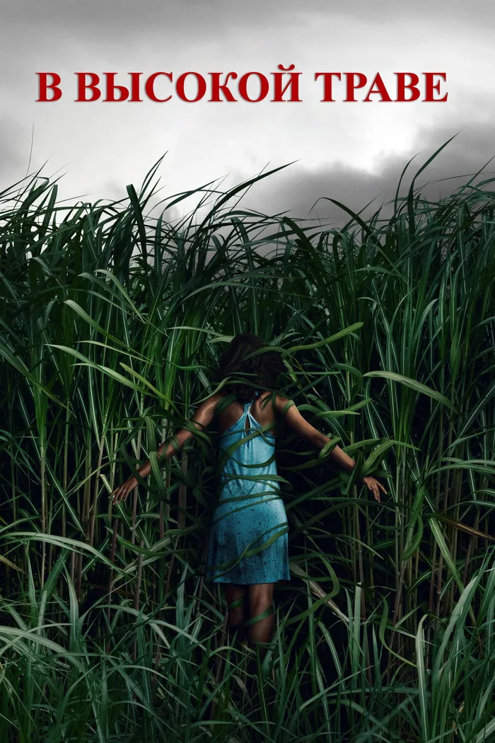 В высокой траве (2019) poster