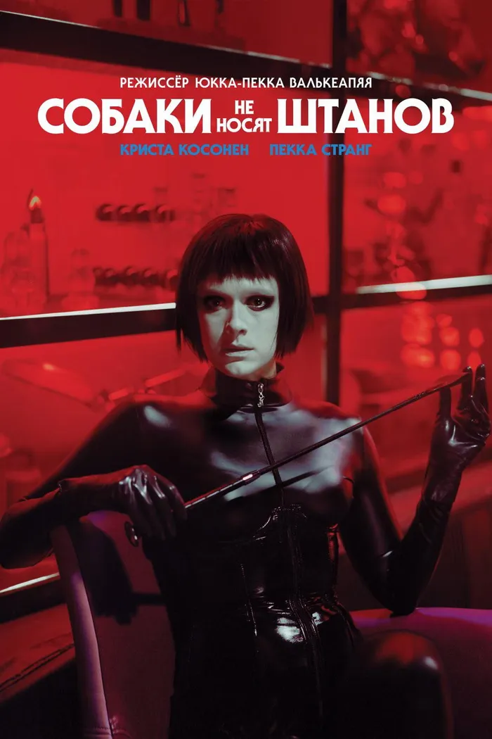 Собаки не носят штанов (2019) poster