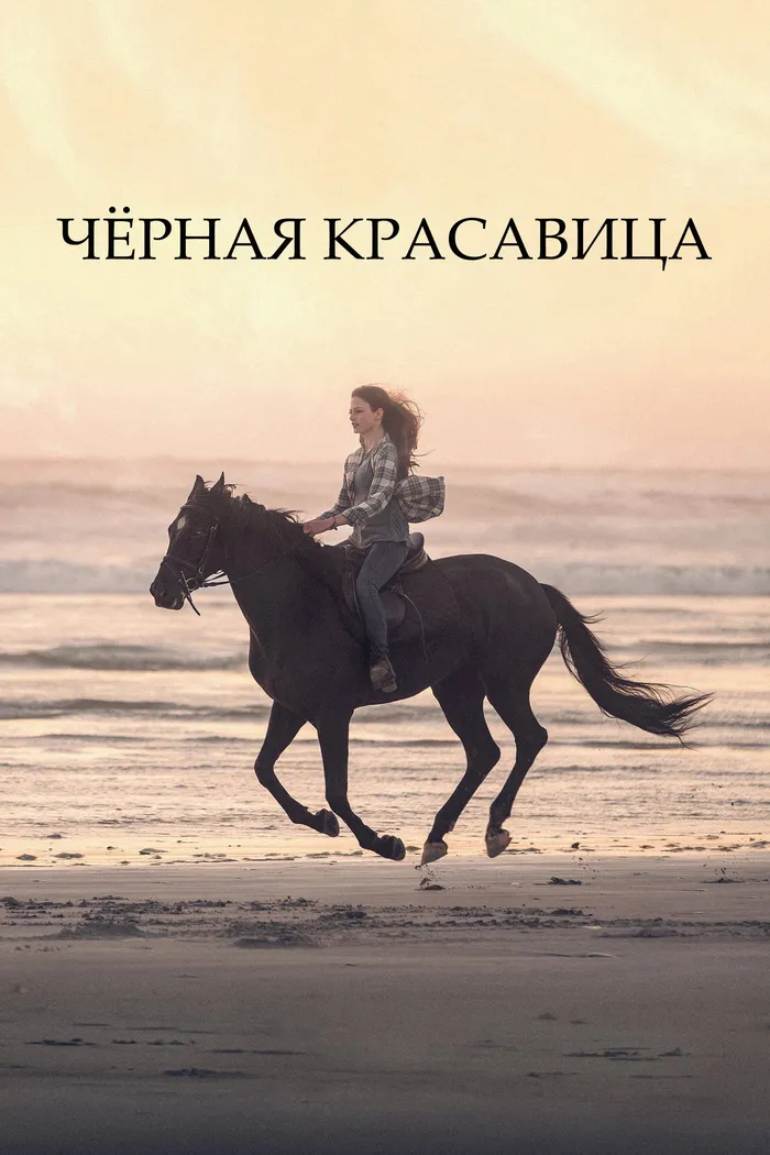 Чёрная красавица (2020) poster