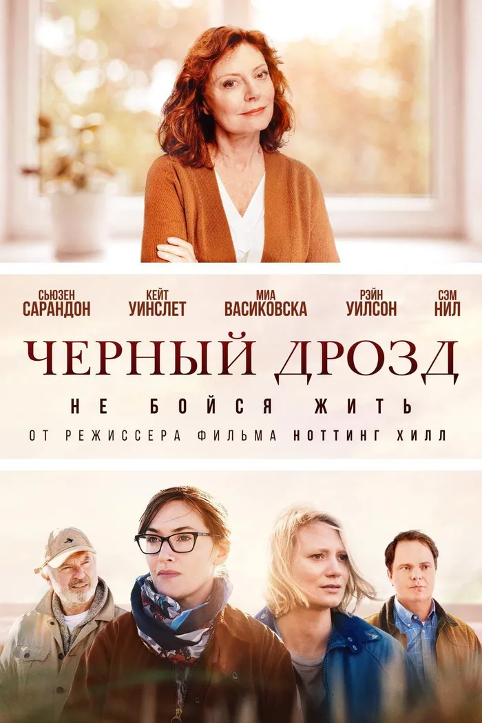 Чёрный дрозд (2019) poster