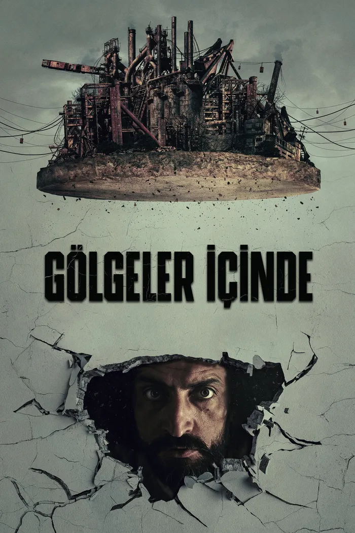 В тени (2020) poster