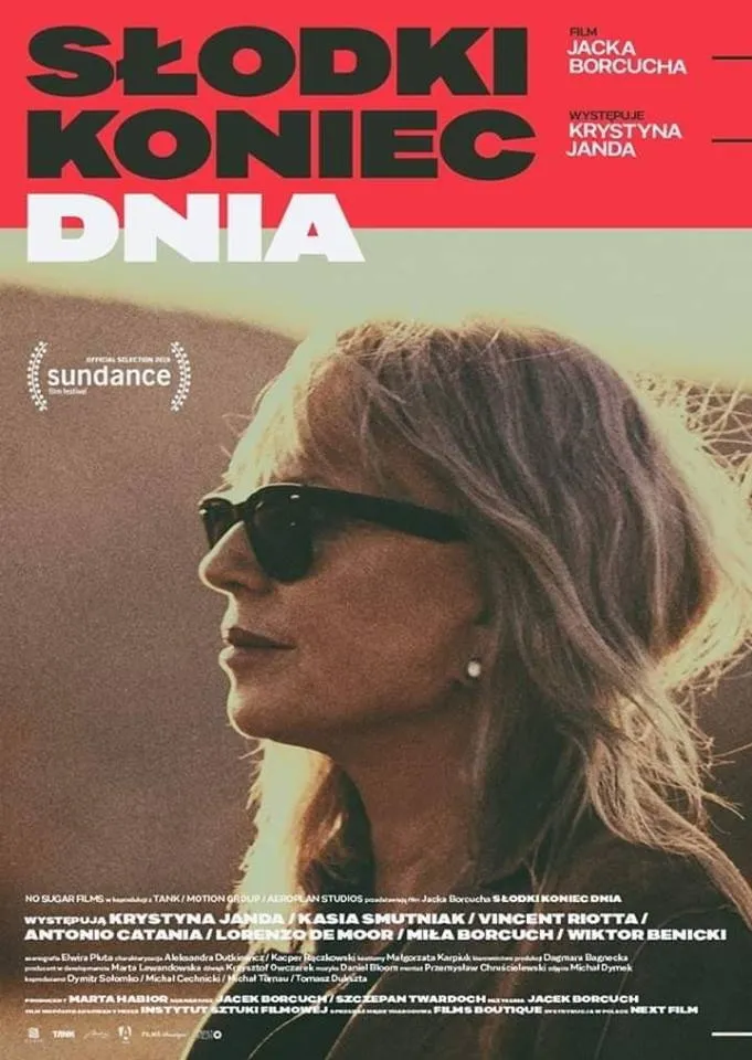 Конец сладкого дня (2019) poster
