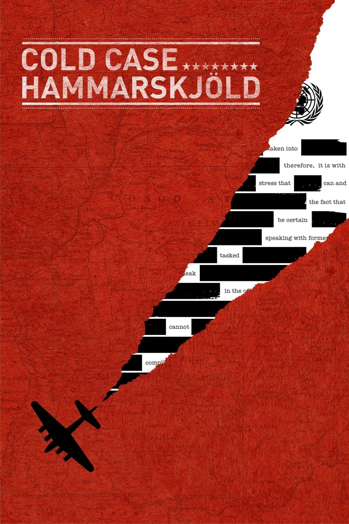 Безнадежное дело Хаммаршельда (2019) poster