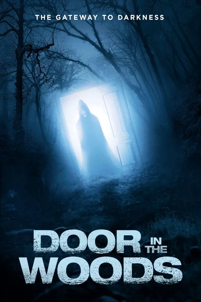 Дверь в лесу (2019) poster