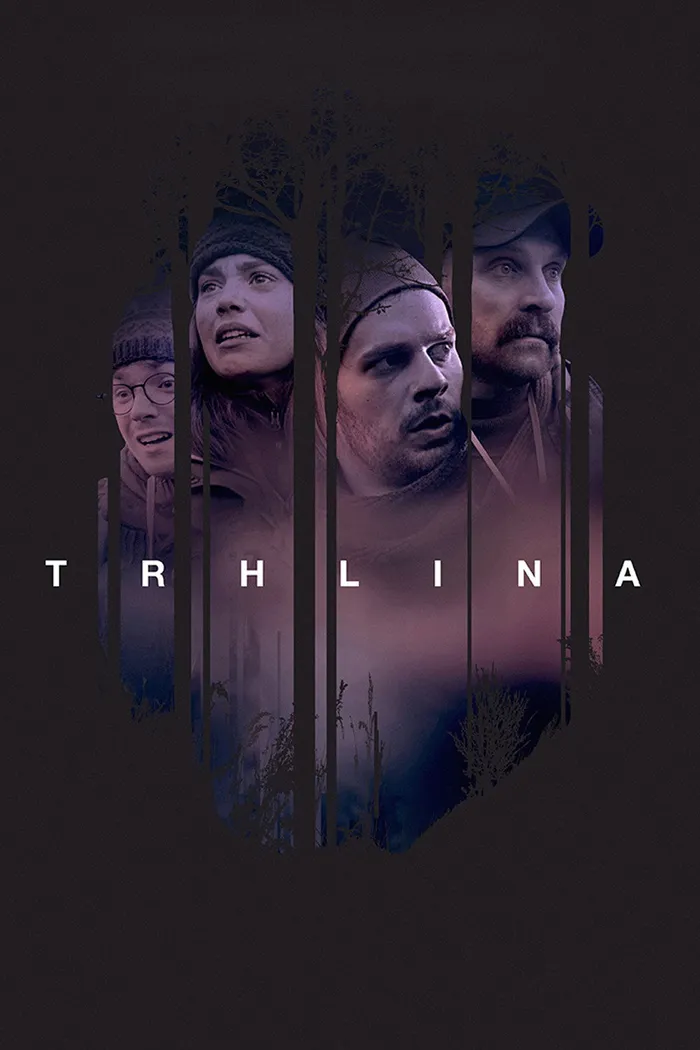 Разлом (2019) poster