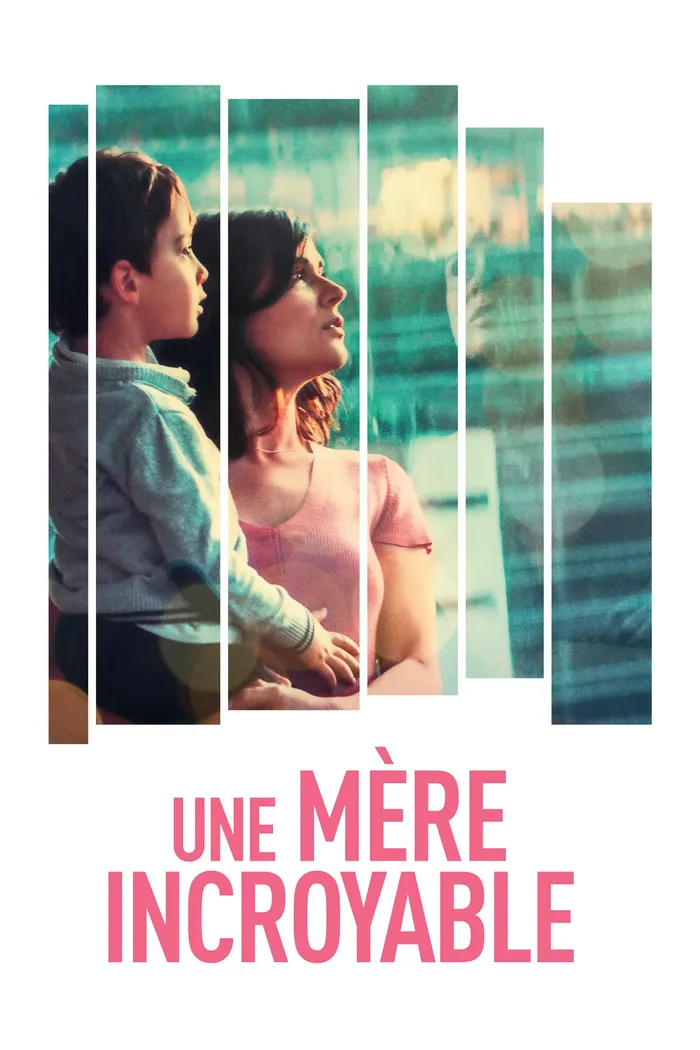 Litigante (2019) poster