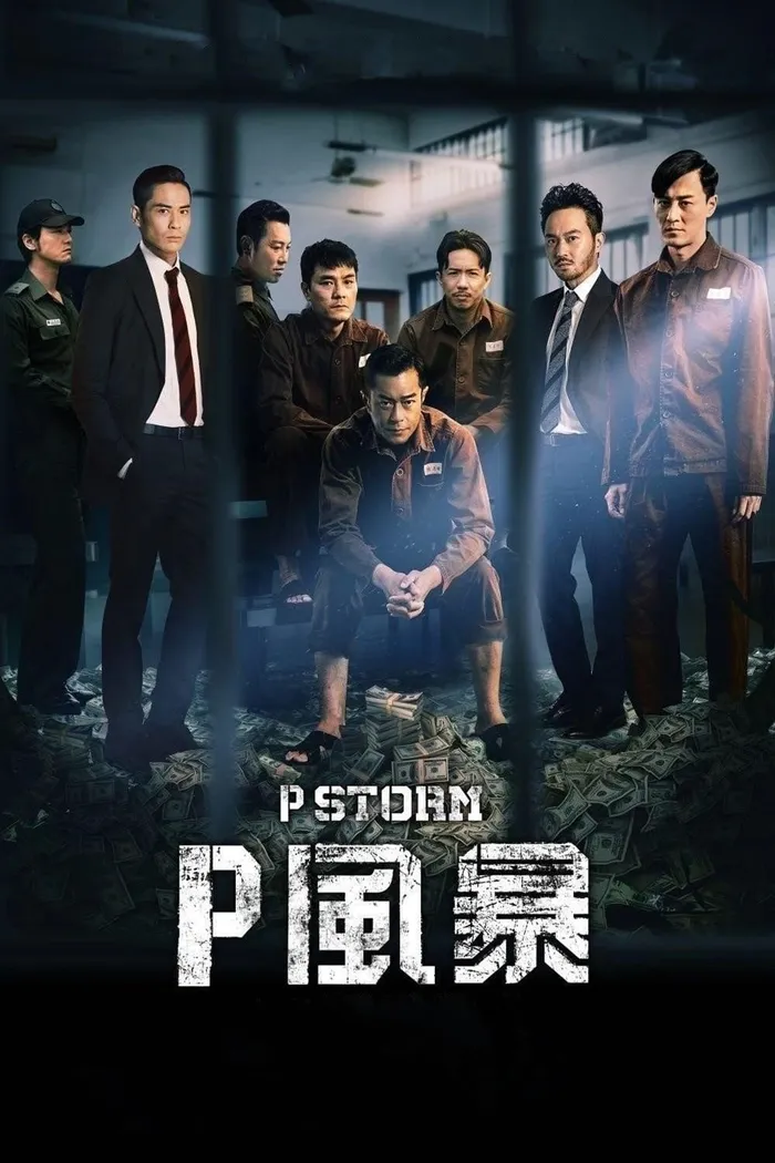 Шторм P (2019) poster