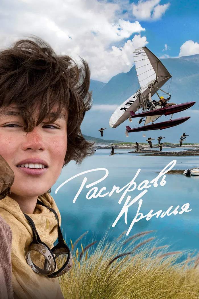 Расправь крылья (2019) poster
