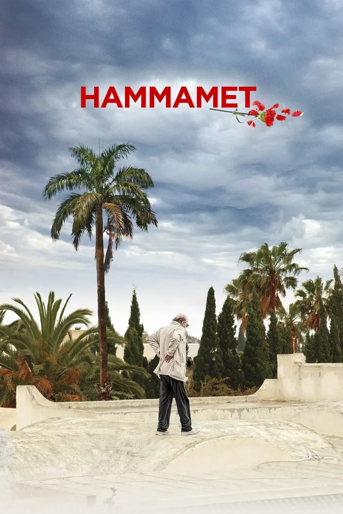 Хаммамет (2020) poster