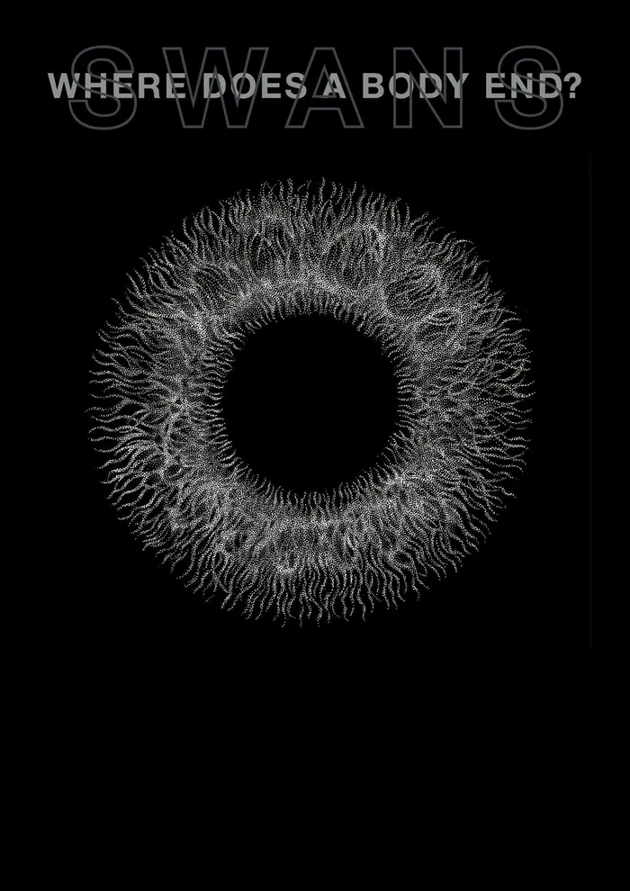 Swans: Where Does a Body End? (2019) poster