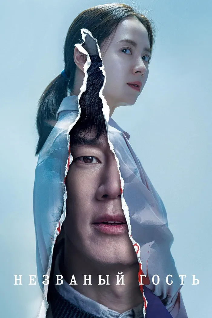 Незваный гость (2020) poster