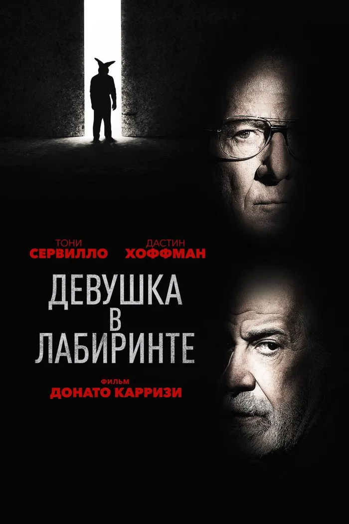 Девушка в лабиринте (2019) poster