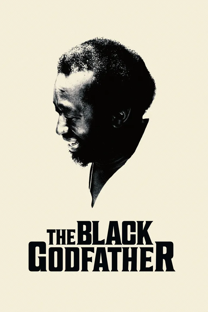 Крестный отец афроамериканской музыки (2019) poster