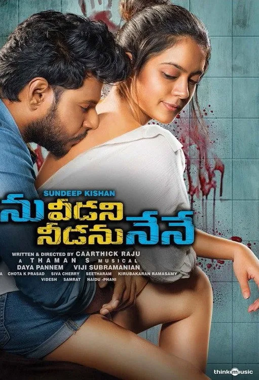 నిను వీడని నీడను నేనే (2019) poster