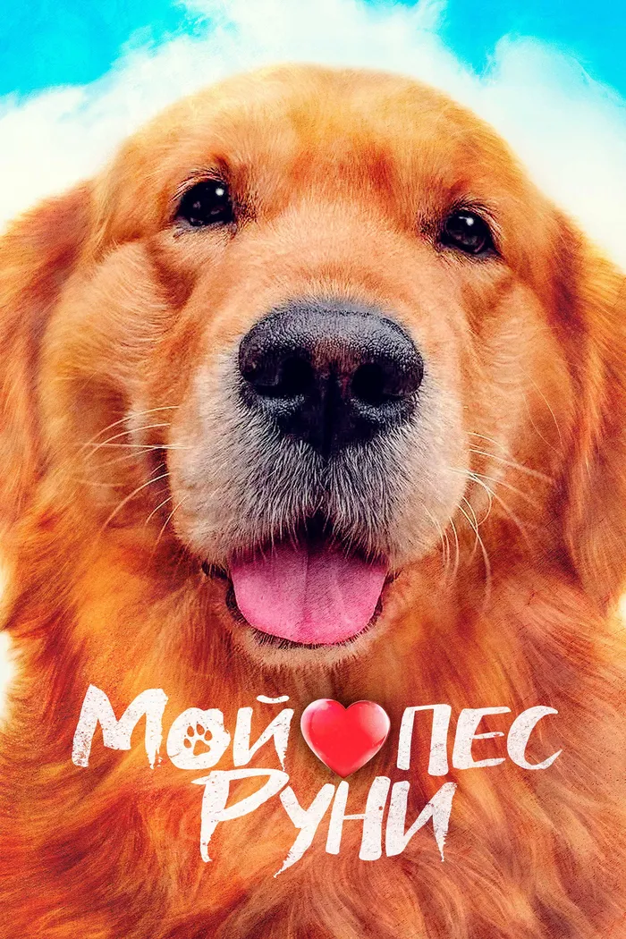 Мой пёс Руни (2023) poster