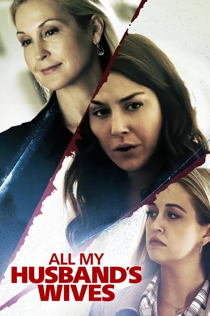 Все жены моего мужа (2020) poster