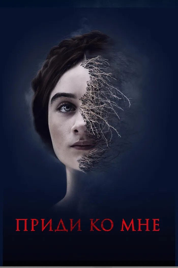 Приди ко мне (2019) poster
