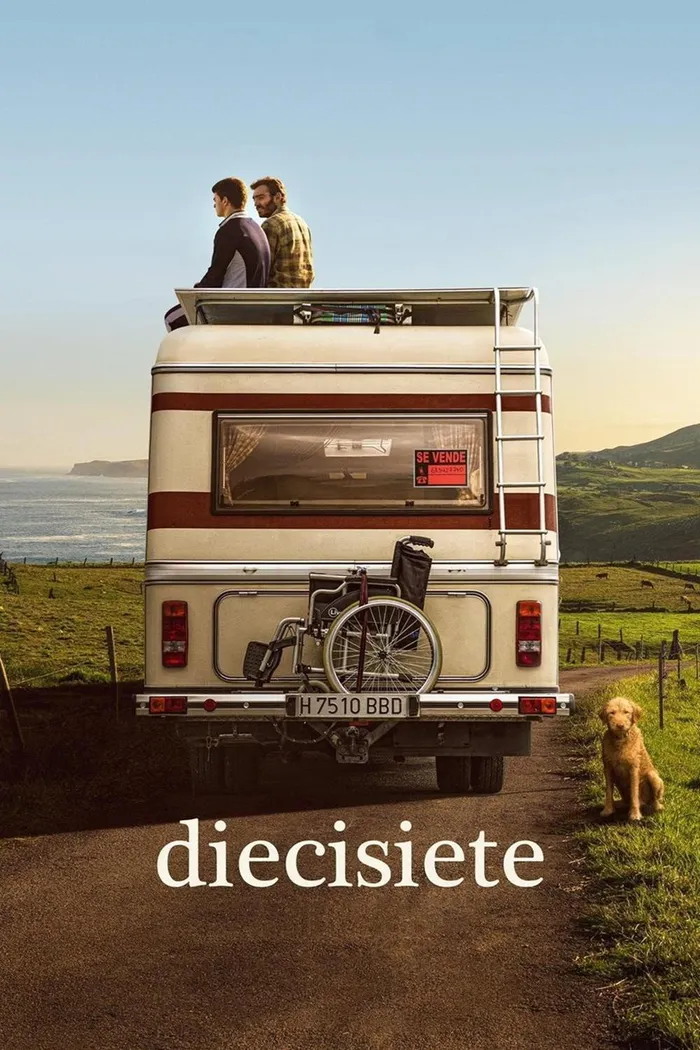 17-летний (2019) poster