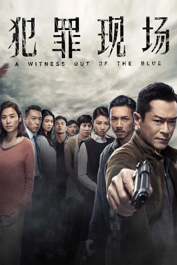 Неожиданный свидетель (2019) poster