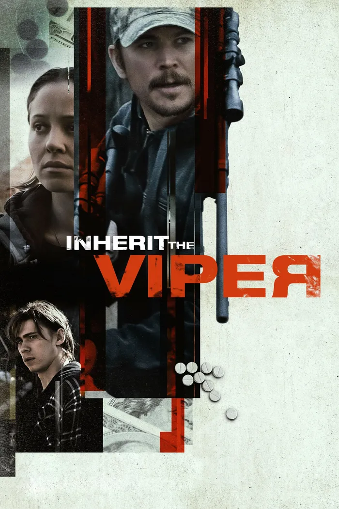 Наследие гадюки (2019) poster