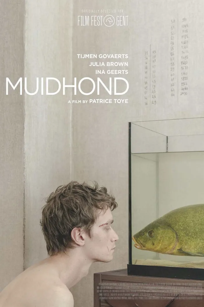 Линь (2019) poster