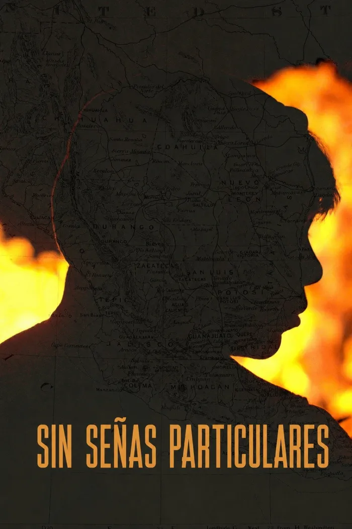 Без особых признаков (2020) poster