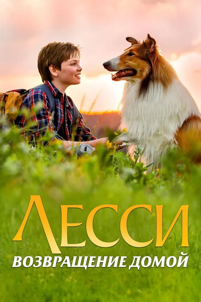 Лесси. Возвращение домой (2020) poster